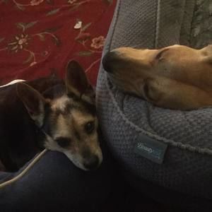 Meet your Posher, Jill